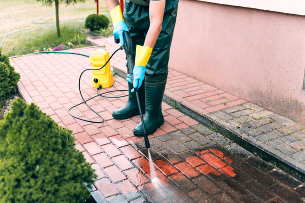 Best Graffiti Removal  in Dwight, IL