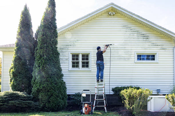 Best Dumpster Area Cleaning  in Dwight, IL